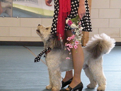 dscn7442-s