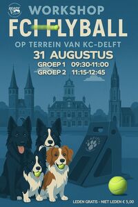fci-flyball-workshop-31-08-2025-flyer
