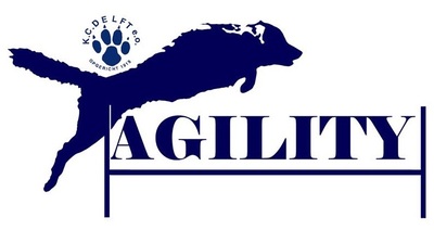 logo-agility-1